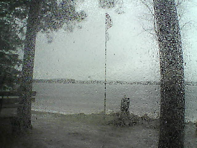 Whiteface Cam Image - Wed, 11/15/2017 2:48pm 