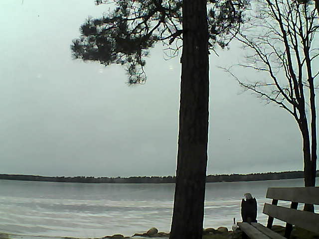 Whiteface Cam Image - Fri, 12/01/2017 9:24am 