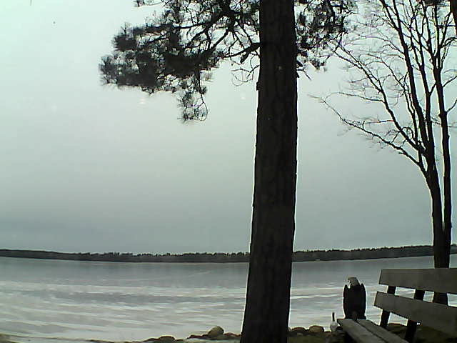 Whiteface Cam Image - Fri, 12/01/2017 9:34am 