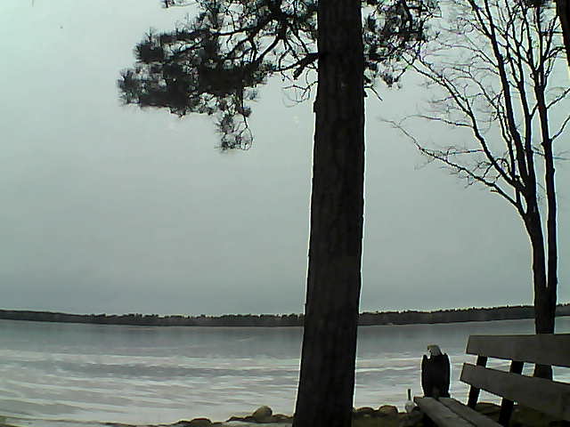 Whiteface Cam Image - Fri, 12/01/2017 9:44am 