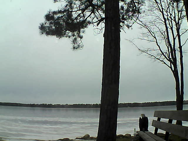 Whiteface Cam Image - Fri, 12/01/2017 9:54am 