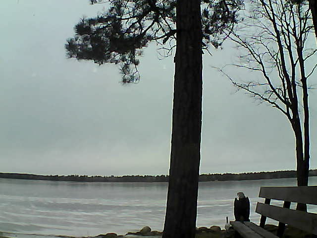 Whiteface Cam Image - Fri, 12/01/2017 10:04am 