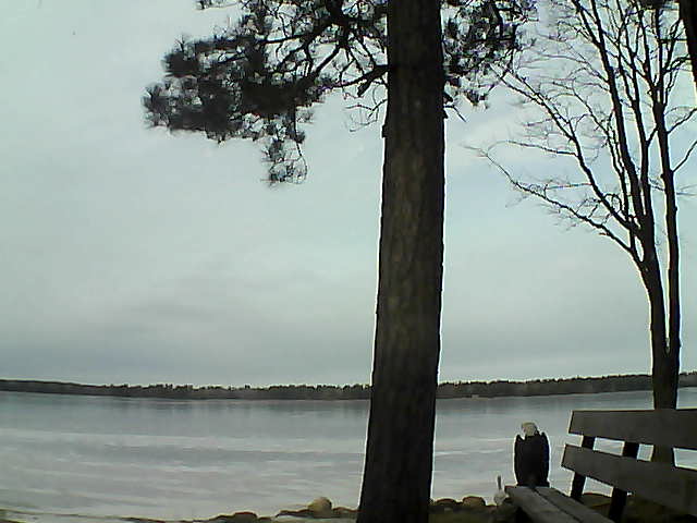 Whiteface Cam Image - Fri, 12/01/2017 10:54am 