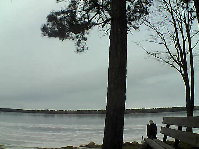 Whiteface Cam Image - Fri, 12/01/2017 11:04am 