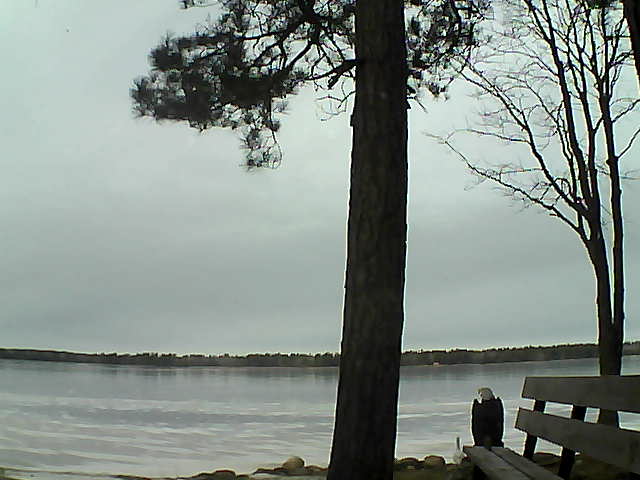 Whiteface Cam Image - Fri, 12/01/2017 11:14am 