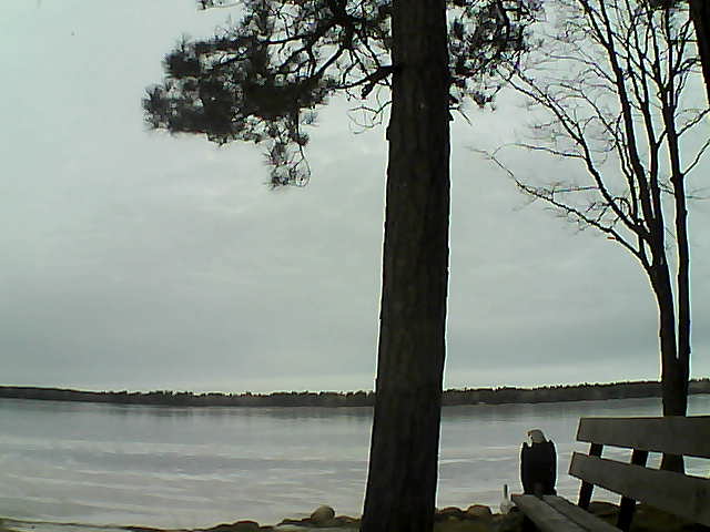 Whiteface Cam Image - Fri, 12/01/2017 11:44am 