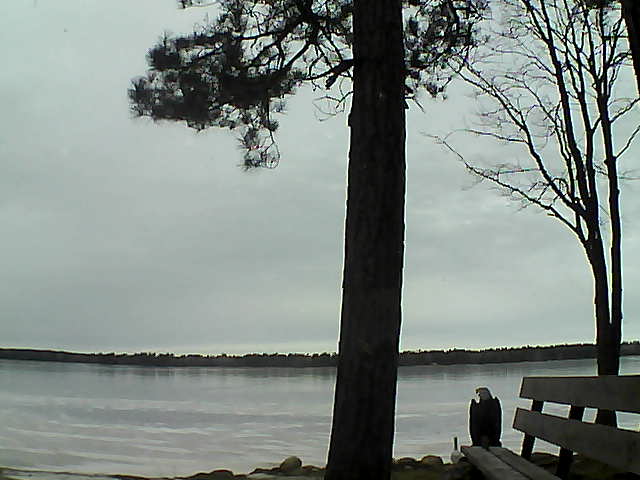 Whiteface Cam Image - Fri, 12/01/2017 11:54am 