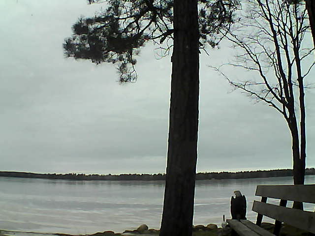 Whiteface Cam Image - Fri, 12/01/2017 12:04pm 