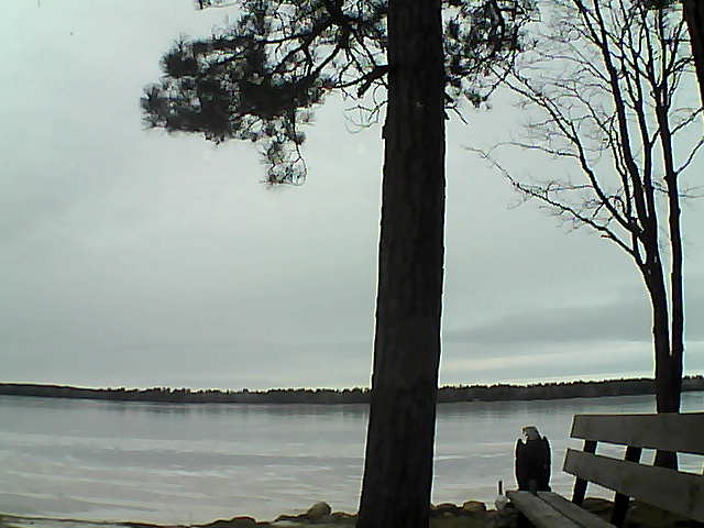 Whiteface Cam Image - Fri, 12/01/2017 12:24pm 