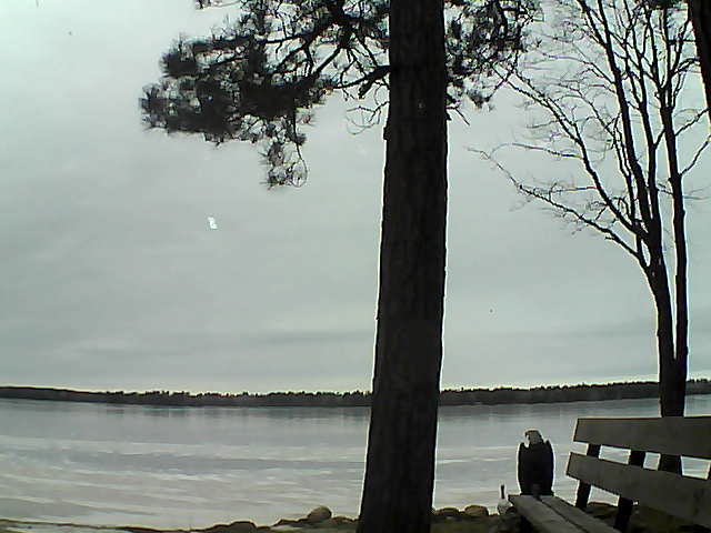 Whiteface Cam Image - Fri, 12/01/2017 12:34pm 