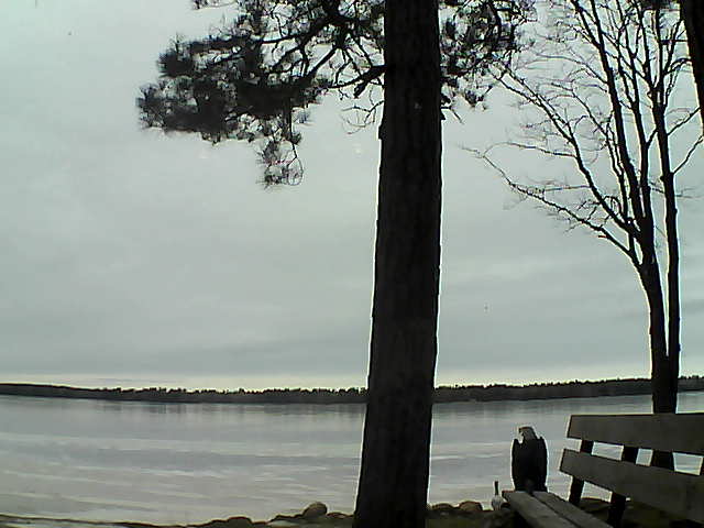 Whiteface Cam Image - Fri, 12/01/2017 12:54pm 