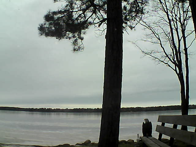 Whiteface Cam Image - Fri, 12/01/2017 1:04pm 