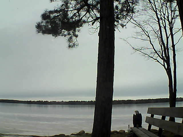 Whiteface Cam Image - Fri, 12/01/2017 1:24pm 