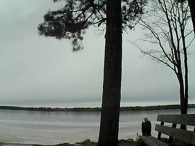 Whiteface Cam Image - Fri, 12/01/2017 1:34pm 