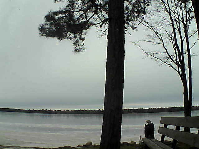 Whiteface Cam Image - Fri, 12/01/2017 1:44pm 