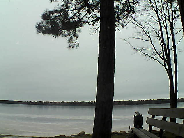 Whiteface Cam Image - Fri, 12/01/2017 2:04pm 