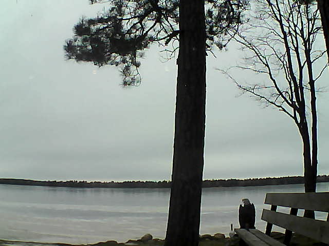 Whiteface Cam Image - Fri, 12/01/2017 2:14pm 