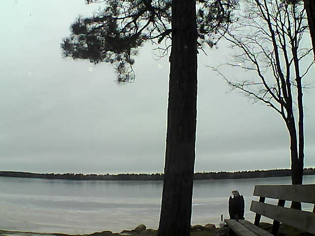 Whiteface Cam Image - Fri, 12/01/2017 2:24pm 