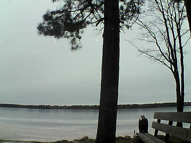 Whiteface Cam Image - Fri, 12/01/2017 2:44pm 