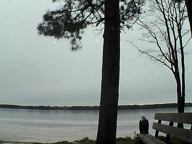 Whiteface Cam Image - Fri, 12/01/2017 2:54pm 