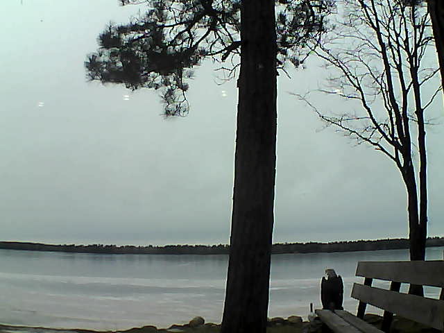 Whiteface Cam Image - Fri, 12/01/2017 3:24pm 