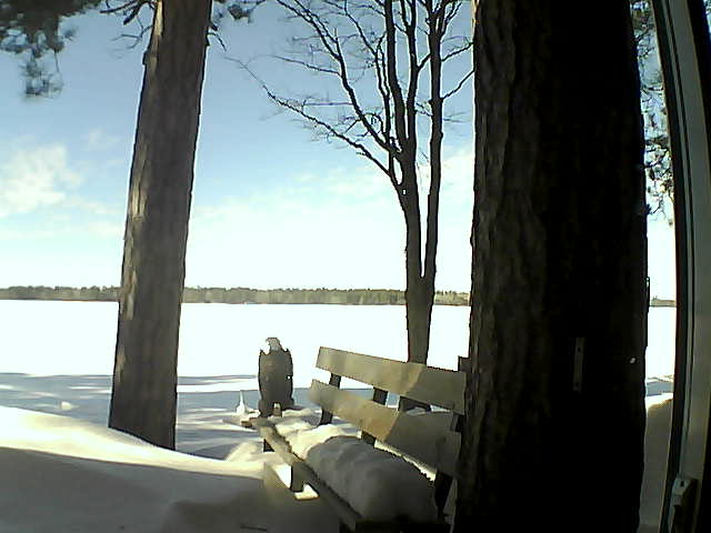 Whiteface Cam Image - Wed, 02/28/2018 1:56pm 