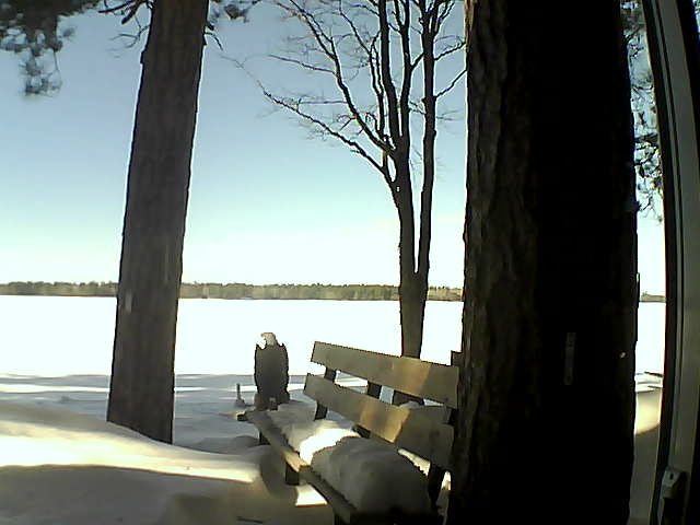 Whiteface Cam Image - Wed, 02/28/2018 2:16pm 