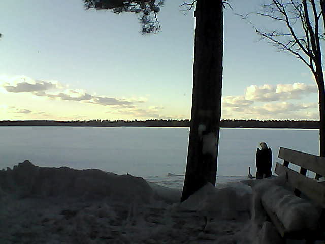 Whiteface Cam Image - Thu, 03/01/2018 4:44pm 