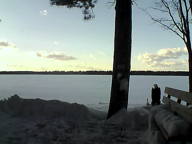 Whiteface Cam Image - Thu, 03/01/2018 4:54pm 