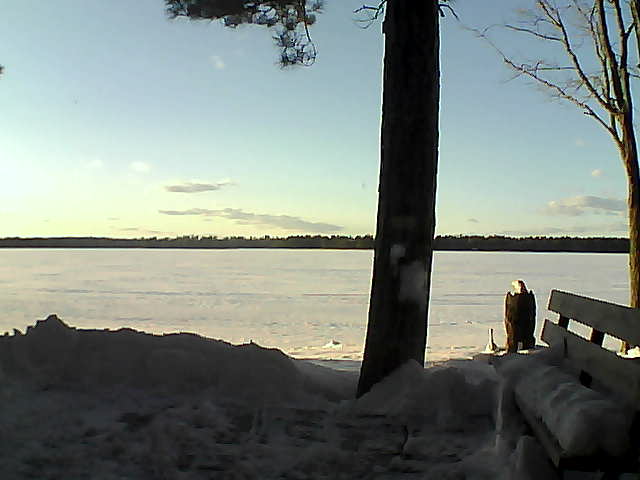 Whiteface Cam Image - Thu, 03/01/2018 5:14pm 