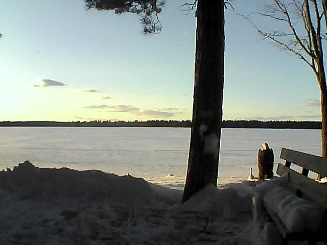 Whiteface Cam Image - Thu, 03/01/2018 5:24pm 