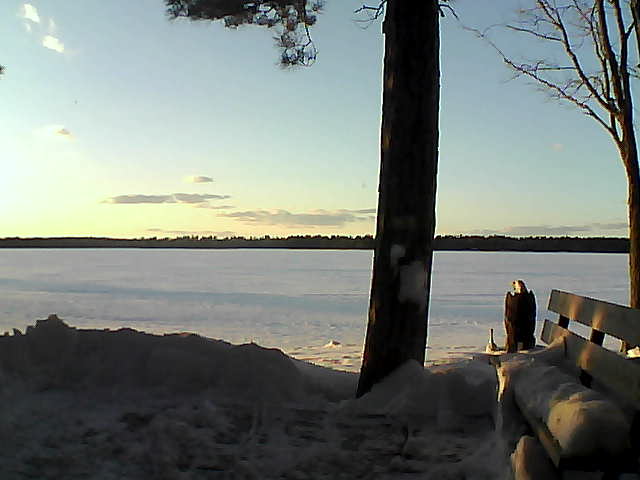 Whiteface Cam Image - Thu, 03/01/2018 5:34pm 