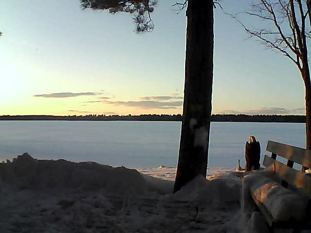 Whiteface Cam Image - Thu, 03/01/2018 5:44pm 