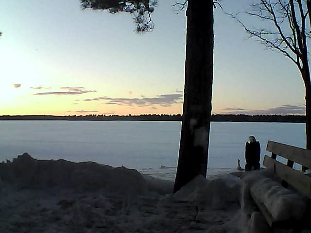 Whiteface Cam Image - Thu, 03/01/2018 5:54pm 