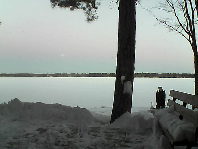 Whiteface Cam Image - Fri, 03/02/2018 6:34am 