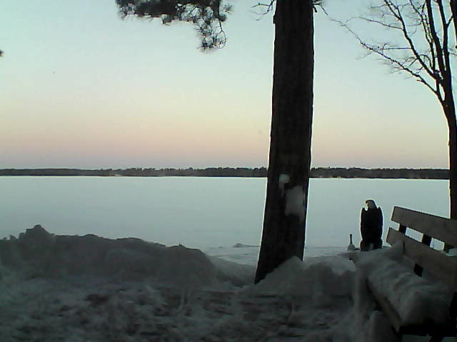 Whiteface Cam Image - Fri, 03/02/2018 6:44am 