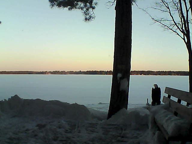 Whiteface Cam Image - Fri, 03/02/2018 6:54am 