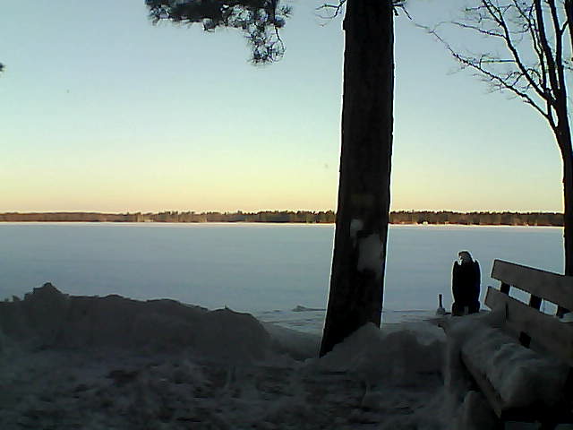 Whiteface Cam Image - Fri, 03/02/2018 7:04am 