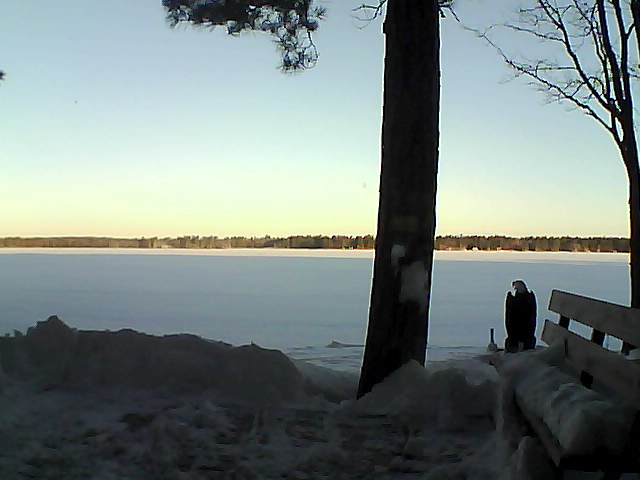 Whiteface Cam Image - Fri, 03/02/2018 7:14am 