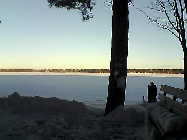 Whiteface Cam Image - Fri, 03/02/2018 7:24am 