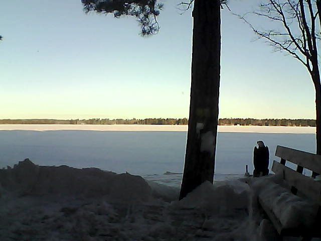 Whiteface Cam Image - Fri, 03/02/2018 7:34am 