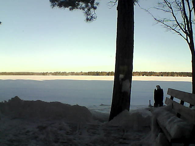 Whiteface Cam Image - Fri, 03/02/2018 7:44am 