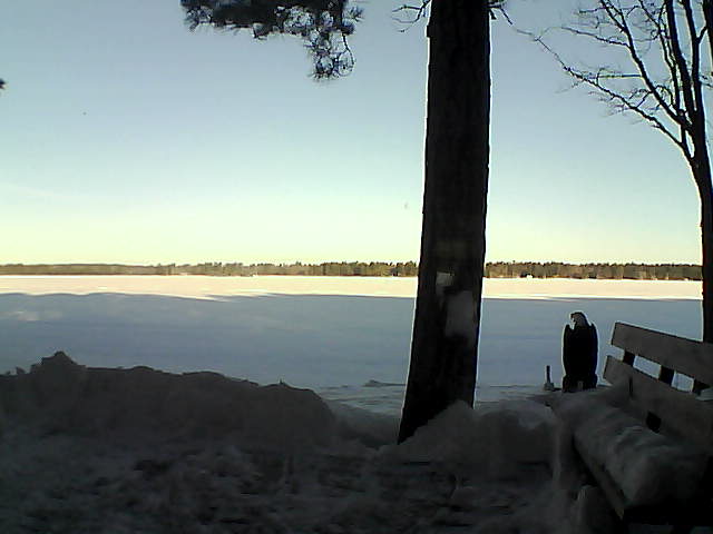 Whiteface Cam Image - Fri, 03/02/2018 7:54am 