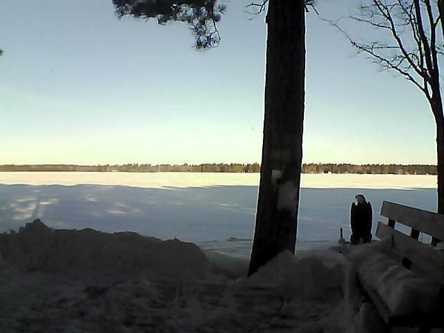 Whiteface Cam Image - Fri, 03/02/2018 8:04am 