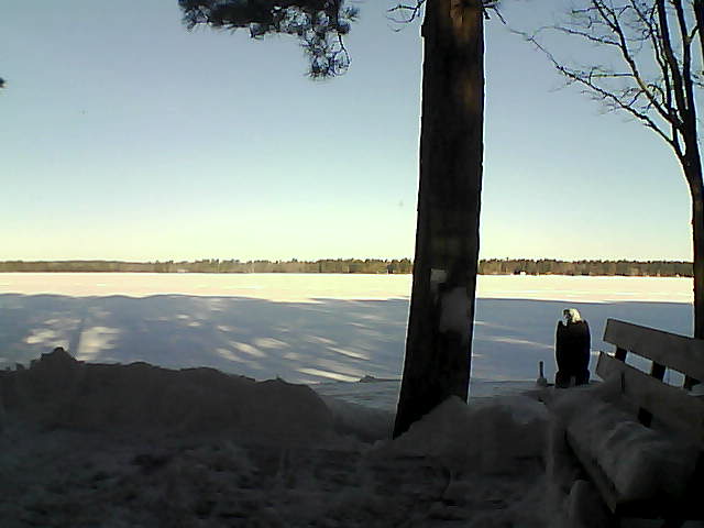 Whiteface Cam Image - Fri, 03/02/2018 8:14am 