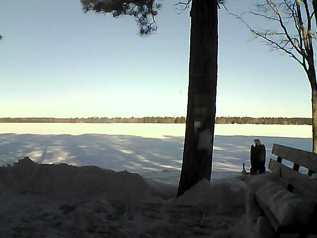 Whiteface Cam Image - Fri, 03/02/2018 8:24am 