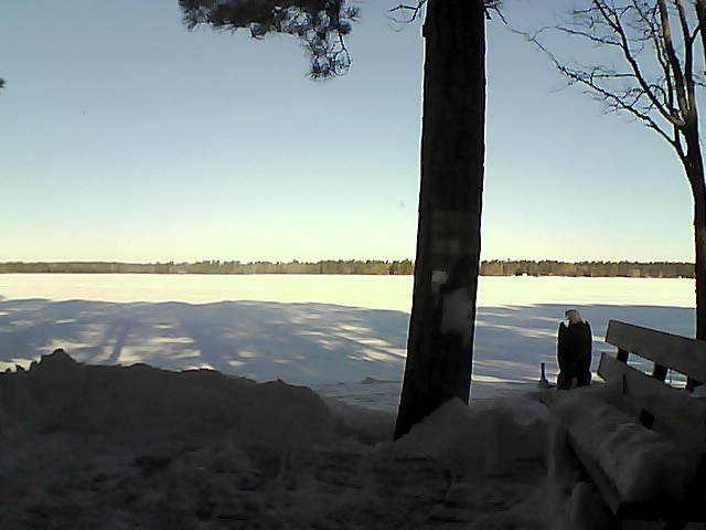 Whiteface Cam Image - Fri, 03/02/2018 8:34am 