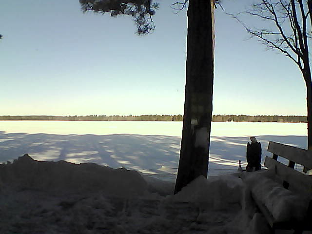 Whiteface Cam Image - Fri, 03/02/2018 8:44am 