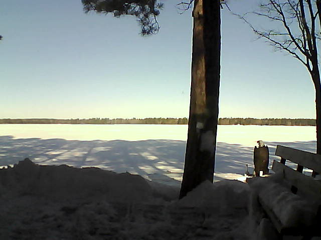 Whiteface Cam Image - Fri, 03/02/2018 9:04am 