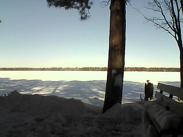 Whiteface Cam Image - Fri, 03/02/2018 9:14am 